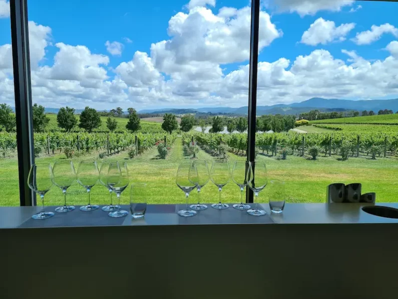 Yarra-Valley-Winery-Tour-4