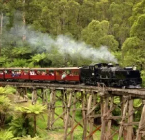 puffing-billy-cover-320