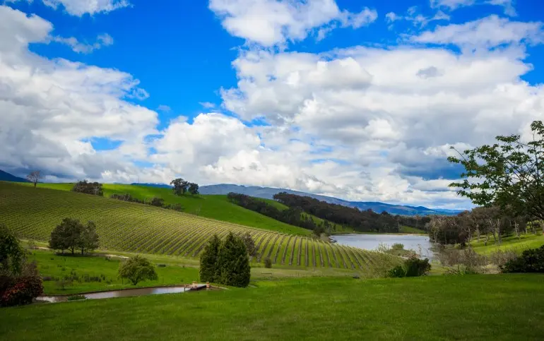 yarra-valley