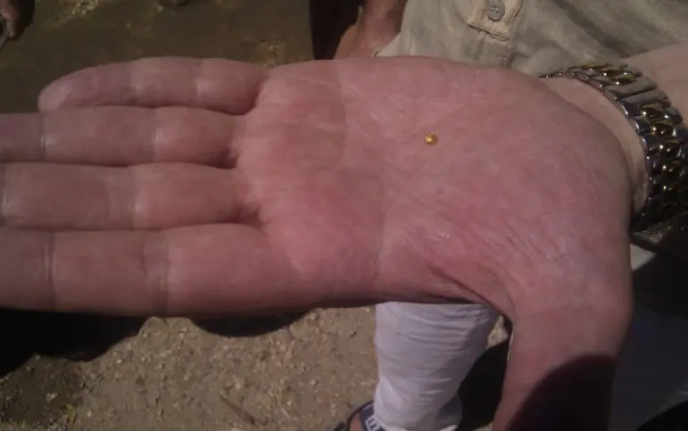 gold-nugget