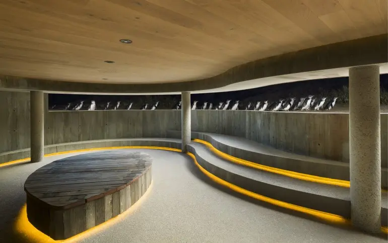 underground-penguin-viewing