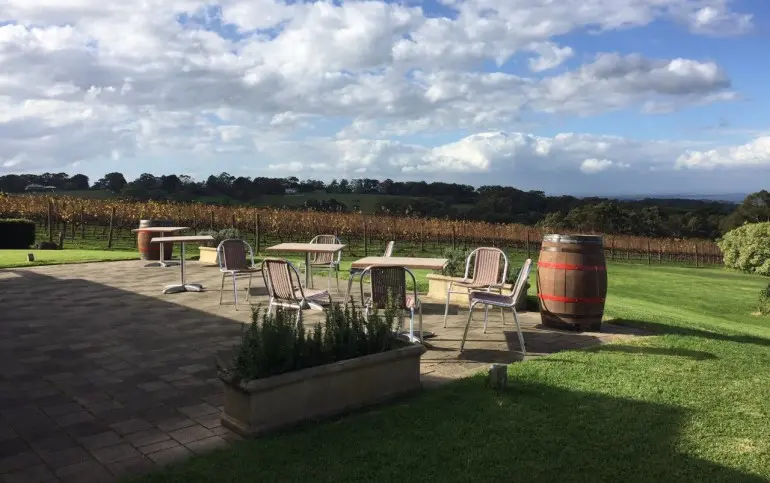 vineyard-mornington