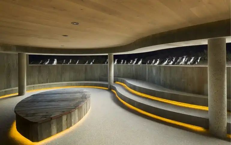 Penguin-Parade-Underground-Viewing