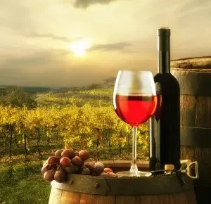 bellarine-wine-stock-cover