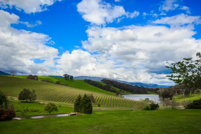 Yarra Valley