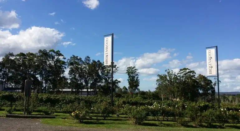 hunter-valley-wine-tour-3