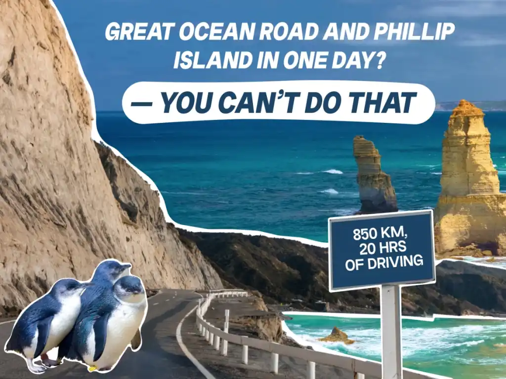Great-Ocean-Road-and-Phillip-Island-In-One-Day