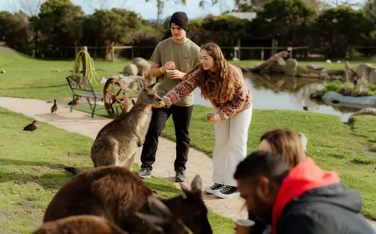 Maru-Wildlife-Park-3