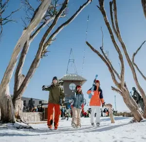 Mount-Buller-Tour