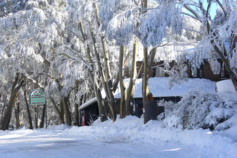 Mt Baw Baw Apline Village
