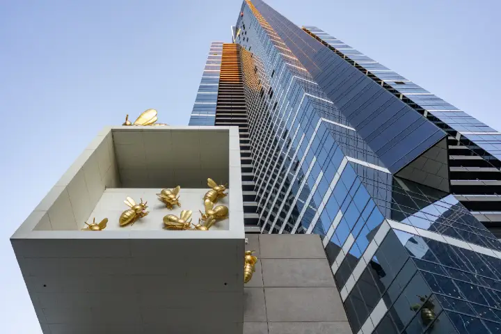 half-day-tours-melbourne
