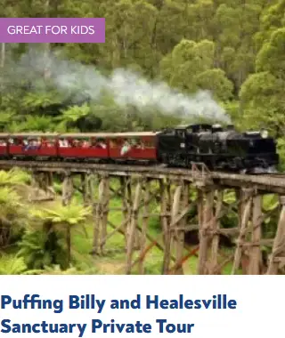Dandenong and Yarra Valley Private Tour