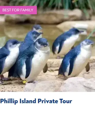 Phillip Island Private Tour