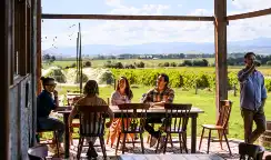 Yering-Farm-Winery